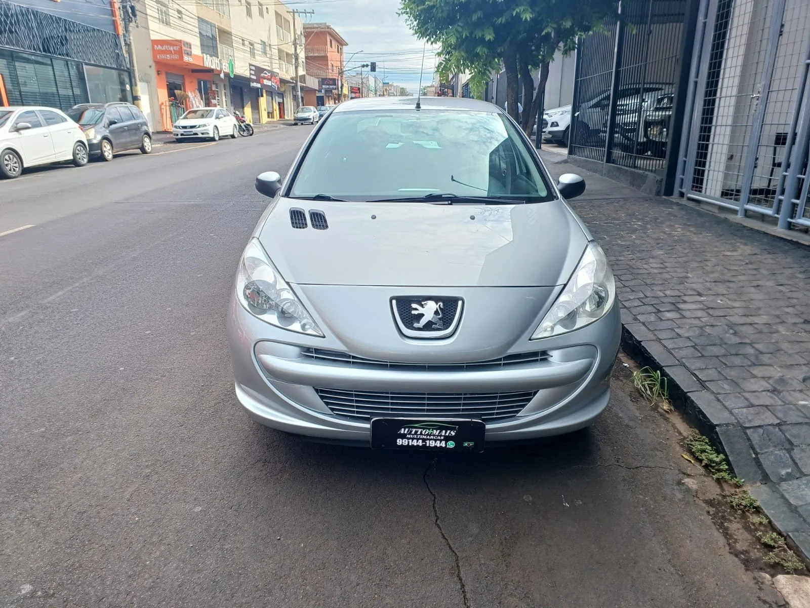 PEUGEOT 207 2012 / 2013 Prata Flex 4P Manual