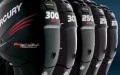 Clique para ver mais detalhes sobre OUTRAS MOTOR DE POLPA Clique para ver mais detalhes sobre OUTRAS MOTOR DE POLPA